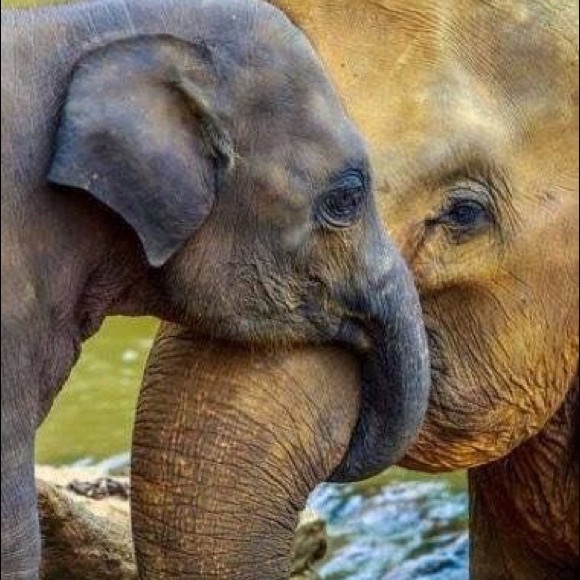 Bundle Up For a Discount! - Picture 5 of 7